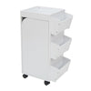 Swivel Organizer White / Black