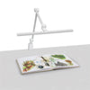 Lámpara Artograph con barra en T y abrazadera de mesa, blanca