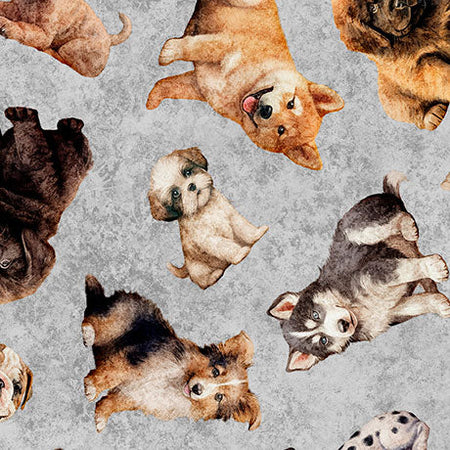 Tejidos QT: «Puppy Toss» en gris, tejido de fantasía, 100 % algodón. Precio por yarda de tejido de fantasía.