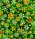 Snowflakes on Green 100% Cotton