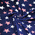 Polar Fleece Fabric Stars- Sold by the Yard