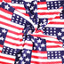 Polar Fleece Fabric American Flag- Sold by the Yard