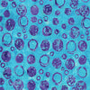 Aqua Bubble Celebration Cotton 44/45 Fabric Per Yard