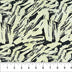 Black Brushstroke Celebration Cotton 44/45 Fabric Per Yard