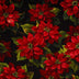 Tela de algodón «Black Scarlet Poinsettia» de ancho ancho, por yarda