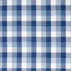 Stitch & Sparkle 100% Cotton, 44" Wide, Cut by the Yard, 1" Gingham Ink