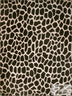 Tela de felpa marrón con estampado de jirafa, de pelo corto / Se vende por metros