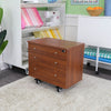Joey Storage Cabinet Teak