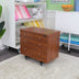 Joey Storage Cabinet Teak