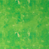 Roc-lon 100% Cotton, 108" Wide, Quilt Backing, Tone On Tone, Cut By Yard||color:Green