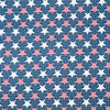 SINGER®  Fabric, 100% Cotton, 18 x 21 Inches, 5 Piece Fat Quarter Bundle