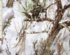 True Timber on White 100% Polyester By the yard