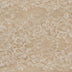 Casa Chantilly Lace 54" Ivory 6 Yds