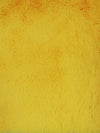 Conejo ártico Minky / Amarillo