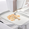 HUSQVARNA® VIKING® Special Techniques Hoop 240 x 150 mm -- Product Image